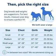 PS GENTLE LEADER XL RASBERRY