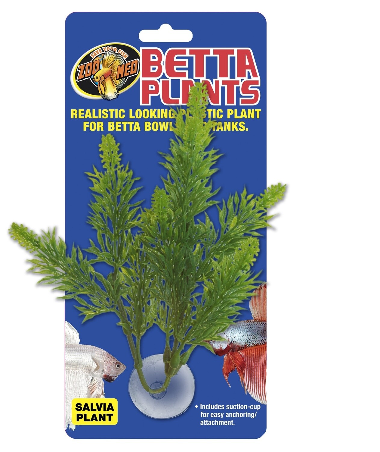 ZM BETTA SALVIA