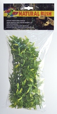 ZM PLANT BOLIVIAN CROTON MD