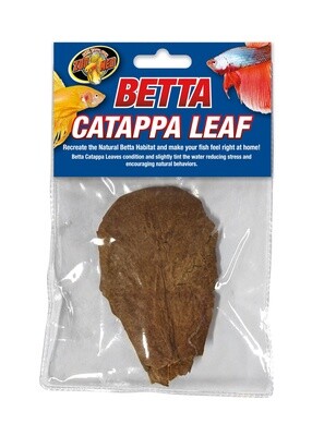 ZM BETTA CATAPA LEAF