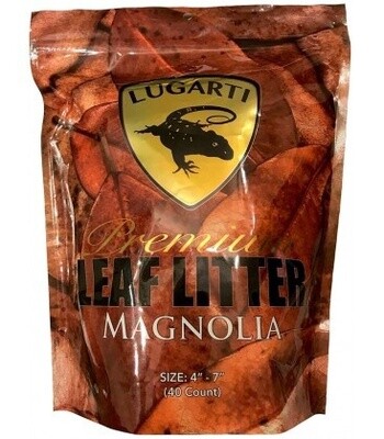 LUG LEAF LITTER MAGNOLIA