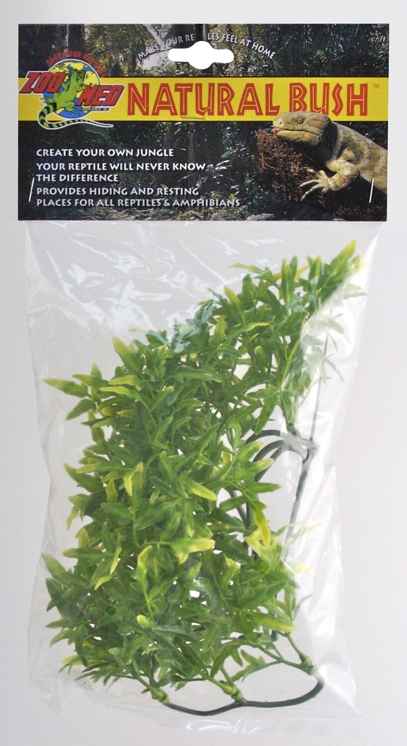 ZM PLANT BOLIVIAN CROTON SM
