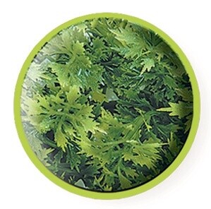 ZOO MED PLANT AUSTRALIAN MAPLE SM