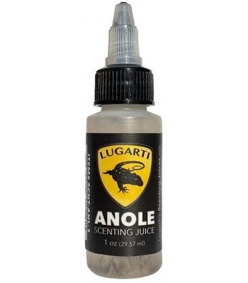 LUG SCENT ANOLE