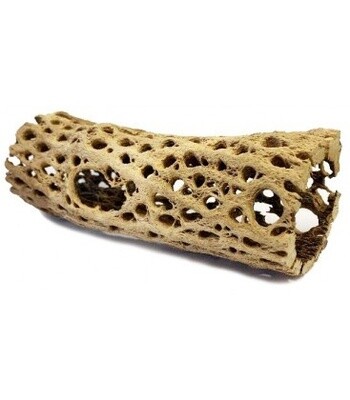 LUG CHOLLA HIDE SM