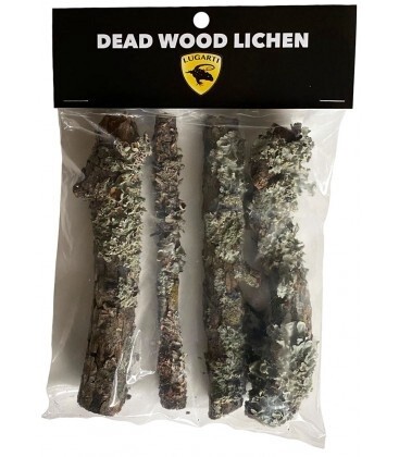 LUG DEAD WOOD LICHEN