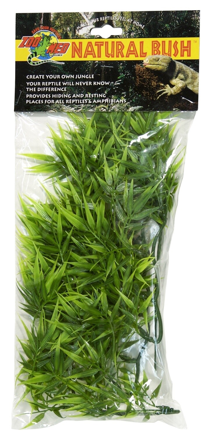 ZM PLANT MADA-BAMBOO MD