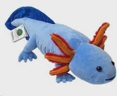 APC MORPH THE AXOLOTL