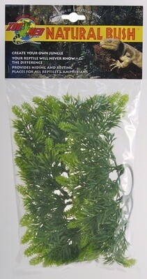 ZM PLANT MALAYSIAN FERN SM