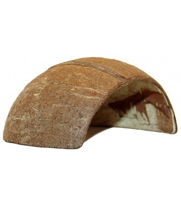 LUG TARANTULA HIDE COCOHUT