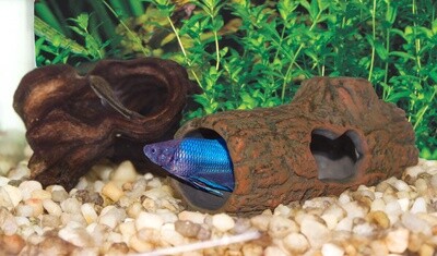 ZM BETTA SINKING LOG