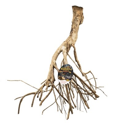 ZM TALAWA ROOT XL