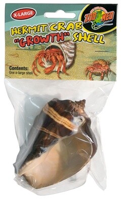 ZM HERMIT CRAB SHELL XLG
