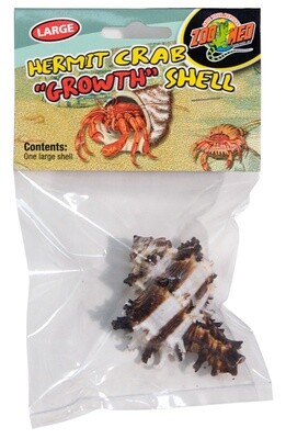 ZM HERMIT CRAB SHELL LG