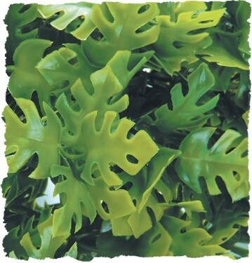ZOO MED PLANT AMAZON PHILO SM