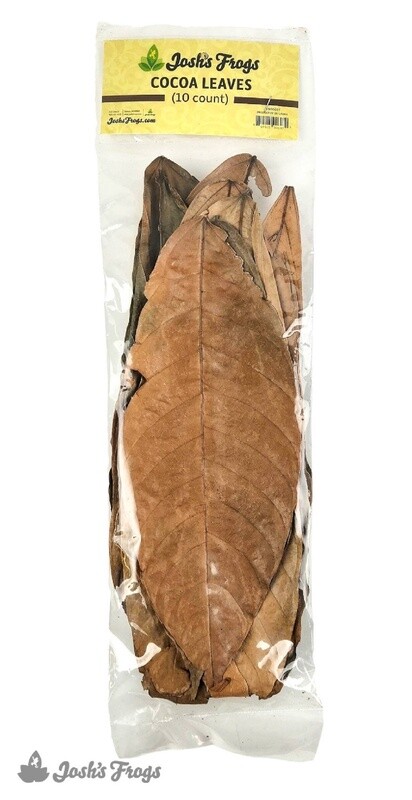 JF LEAF LITTER COCOA