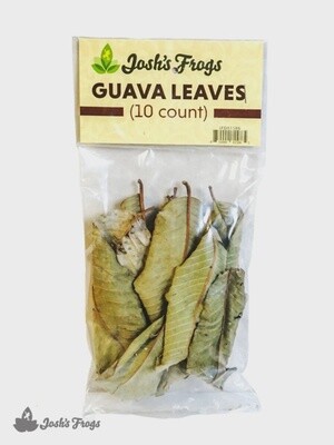 JF LEAF LITTER GUAVA