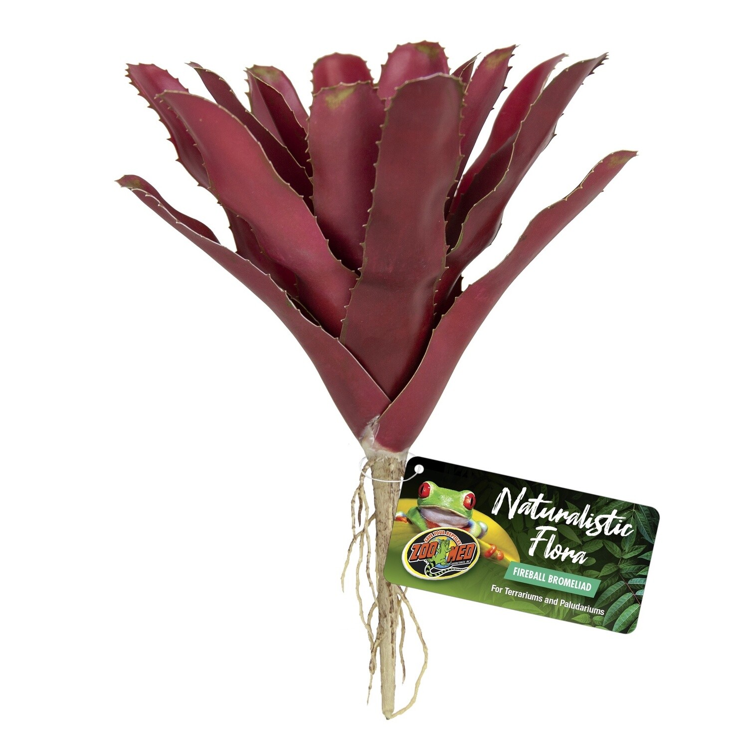 ZM PLANT BROMELIAD FIREBALL