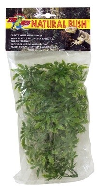 ZM PLANT CANNABIS SM