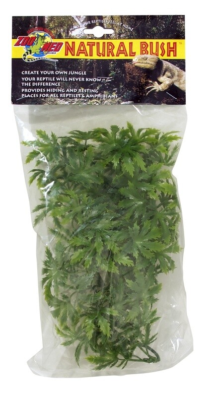 ZM PLANT CANNABIS SM