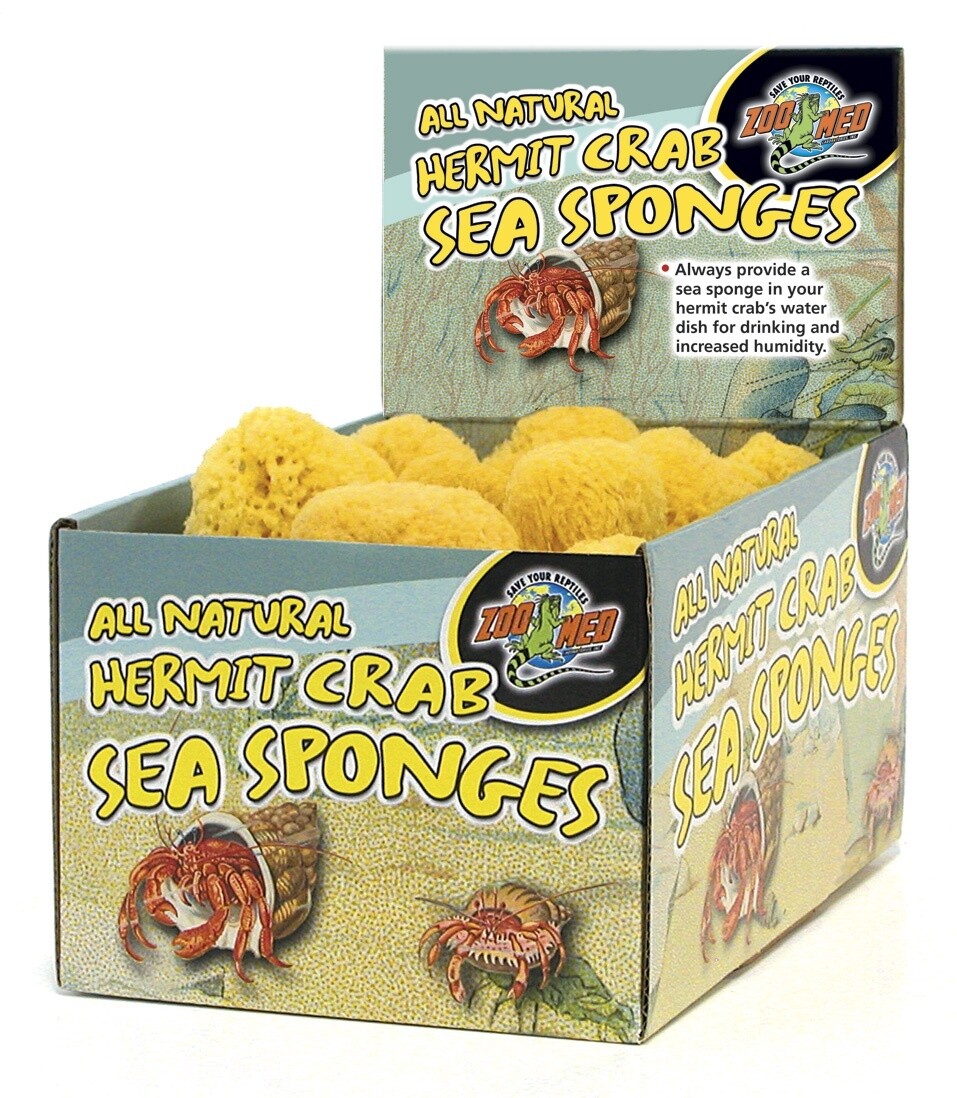 ZM HERMIT CRAB SEA SPONGE EACH