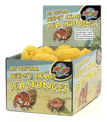 ZM HERMIT CRAB SEA SPONGE EACH