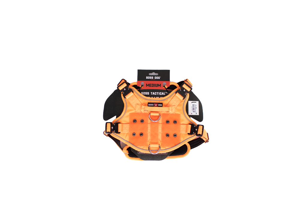 BD HARNESS HUNTER ORANGE MD