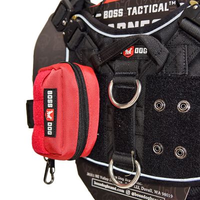 BD MOLLE BAG HUNTER ORANGE SM/MD