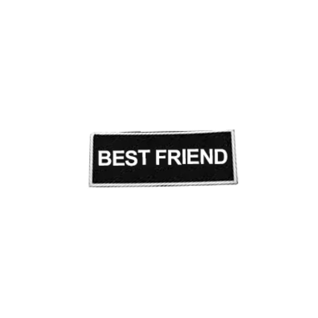 BD HARNESS PATCH BEST FRIEND LG