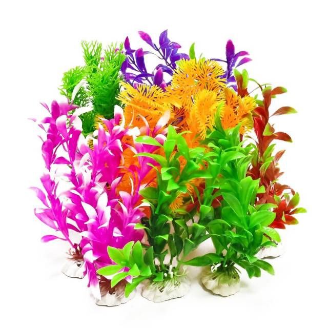 AQT 12PC PLANT PACK COLOR 7&quot;