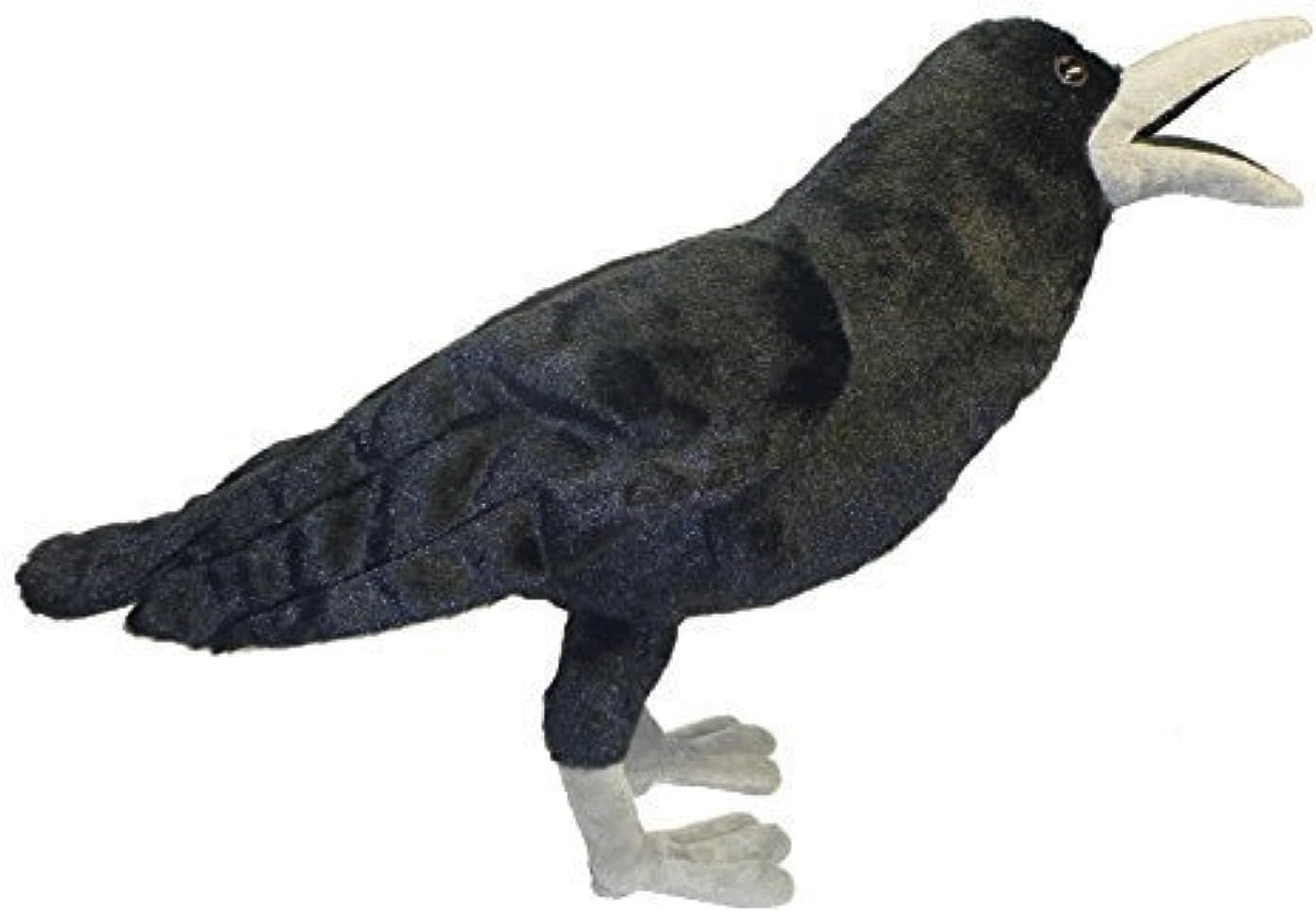 APC SHADOW THE RAVEN