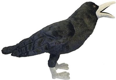 APC SHADOW THE RAVEN