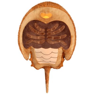 SQUISHABLE HORSESHOE CRAB