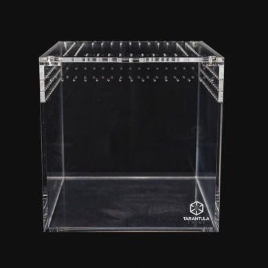 TC 6&quot; TARANTULA CUBE