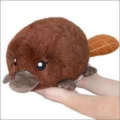 SQUISHABLE MINI BABY PLATYPUS
