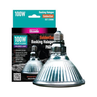ARC GS HALOGEN 100W