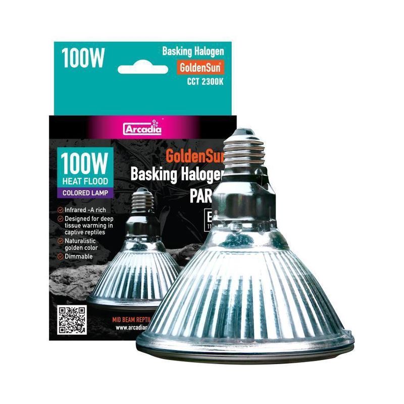ARC GS HALOGEN 100W