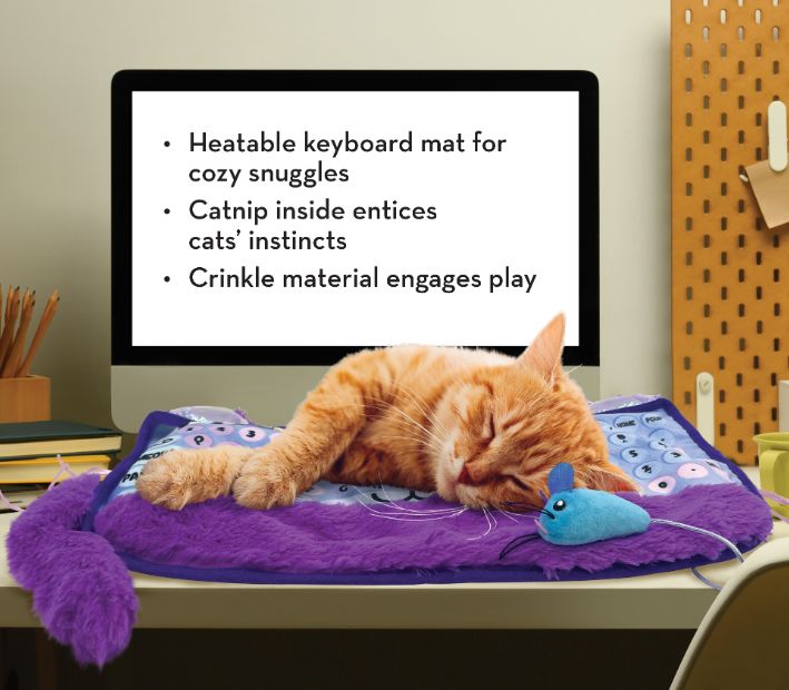 KONG COMFORT KEY PLAY MAT