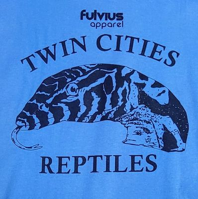 FUL T-SHIRT CIRCUS LG