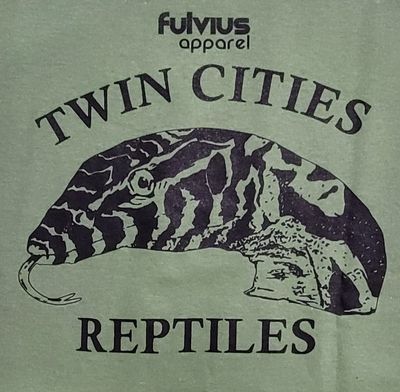 FUL T-SHIRT CURIOUS RHINO LG