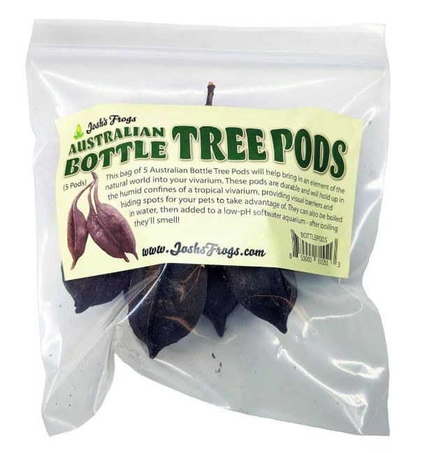 JF AUSTRALIAN BOTTLE TREE PODS