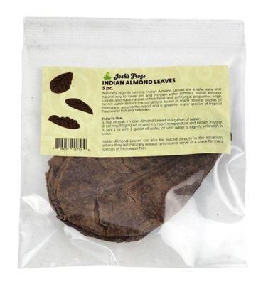 JF INDIAN ALMOND LEAVES