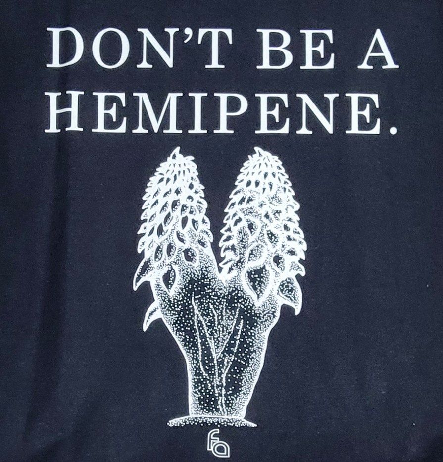 FUL T-SHIRT HEMIPENE LG