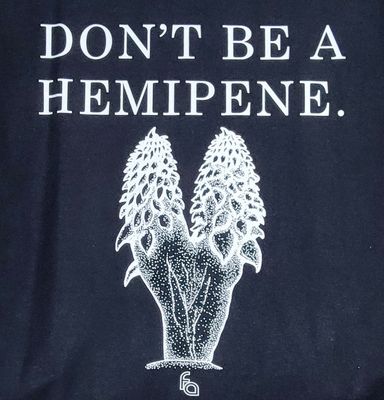 FUL T-SHIRT HEMIPENE SM