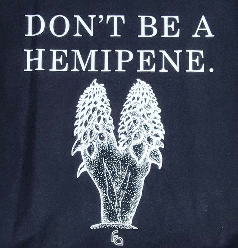 FUL T-SHIRT HEMIPENE XXL