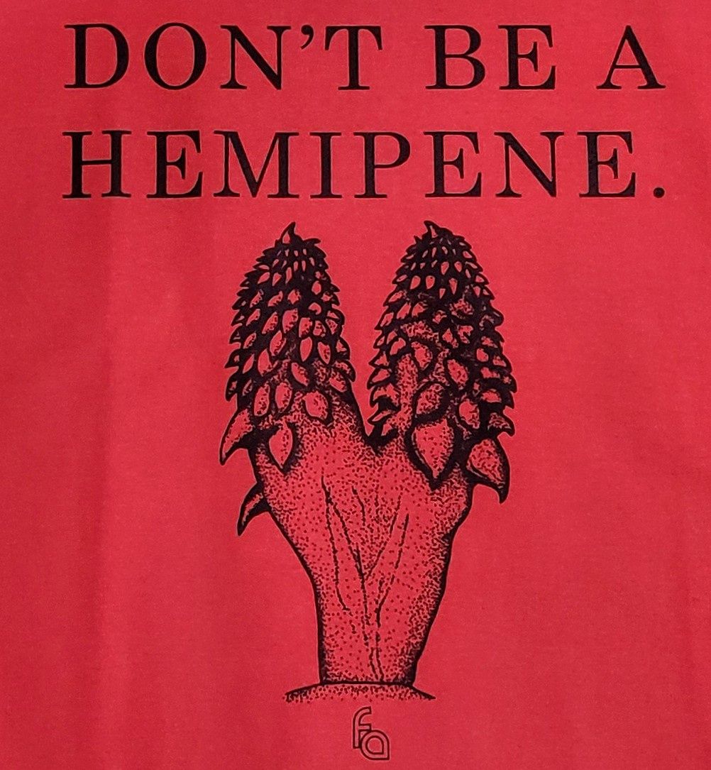 FUL T-SHIRT HEMIPENE XXXL