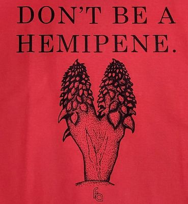 FUL T-SHIRT HEMIPENE XXXL