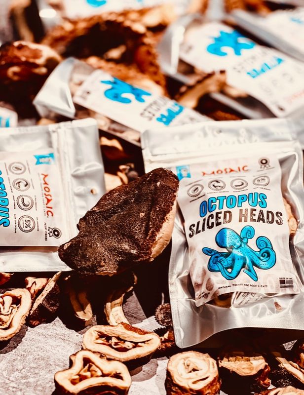 MOSAIC FD WILD OCTOPUS SLICED HEADS 2.5 OZ