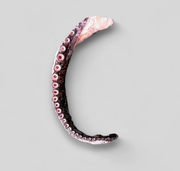 MOSAIC FD WILD OCTOPUS TENTACLES 2.5 OZ