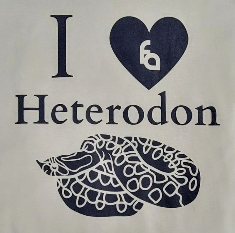 FUL T-SHIRT I HEART HETERODON XXXL